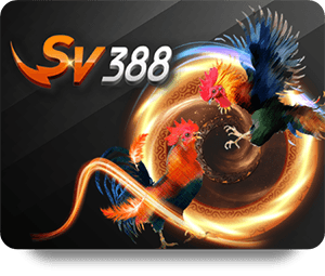 Analyzing Trends with RikVip Top Bet Data